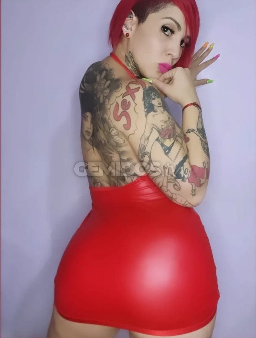 Delfina ZS 